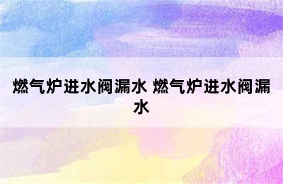 燃气炉进水阀漏水 燃气炉进水阀漏水